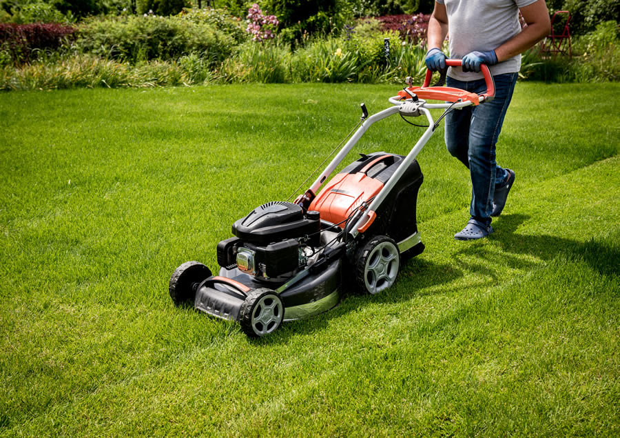 Complete Guide to Lawn Care Services in Evansville for a Healthy, Green Lawn