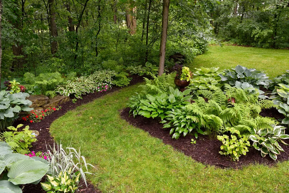 Affordable Landscaping in Evansville
