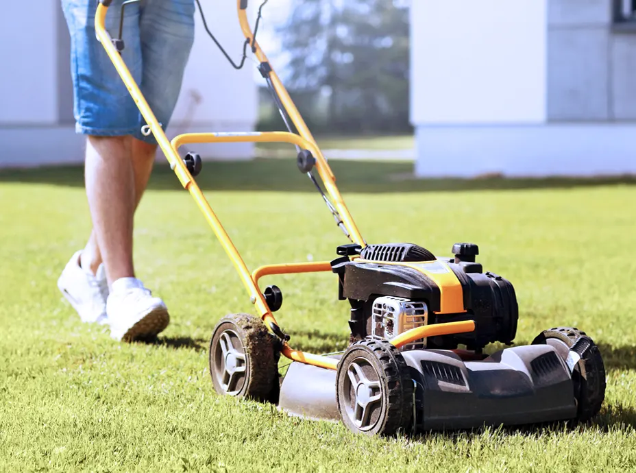 Grass Cutting Service in Evansville: Why Regular Mowing Matters for Curb Appeal