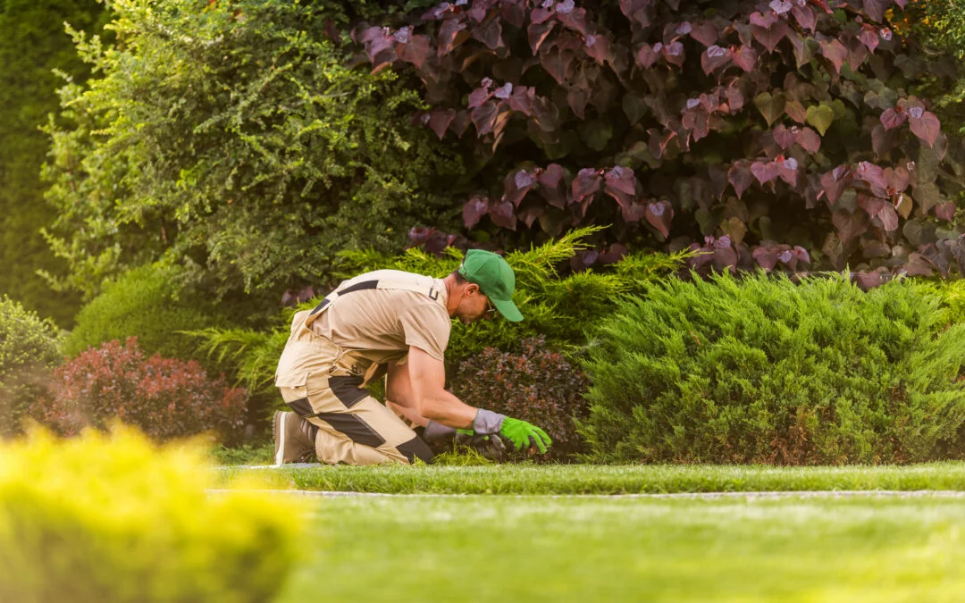 Landscaping Service in Evansville