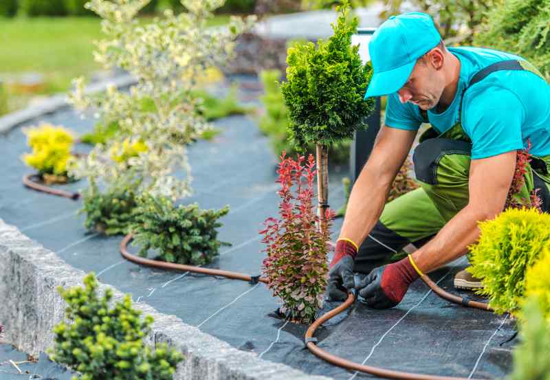 Top Benefits of Hiring a Professional Landscaping Service in Evansville